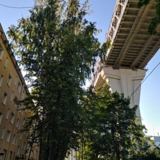 Nazadvpiter.ru - АВТОРСКИЕ ФОТОГРАФИИ САНКТ-ПЕТЕРБУРГА