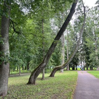 Усадьба Демидовых 18 века в поселке Тайцы