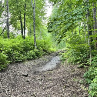 Экотропа 