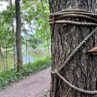 Экотропа 