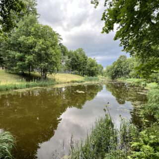 Экотропа 